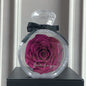 Getrocknete Rosen-Geschenk box für Weihnachten Neujahr Valentinstag