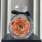 Getrocknete Rosen-Geschenk box für Weihnachten Neujahr Valentinstag